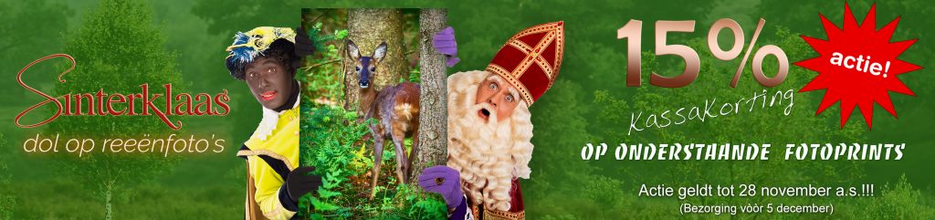 sinterklaas-actie-2016-4